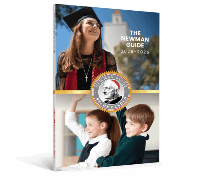 Northern cardinal visual data 2